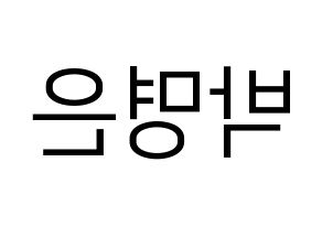 KPOP idol LOVELYZ  진 (Park Myung-eun, JIN) Printable Hangul name fan sign, fanboard resources for LED Reversed