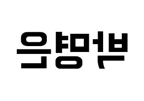 KPOP idol LOVELYZ  진 (Park Myung-eun, JIN) Printable Hangul name fan sign, fanboard resources for concert Reversed