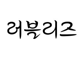 KPOP idol LOVELYZ Printable Hangul fan sign, concert board resources for light sticks Normal