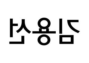 KPOP idol Mamamoo  솔라 (Kim Yong-sun, Solar) Printable Hangul name Fansign Fanboard resources for concert Reversed