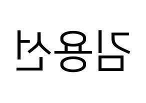 KPOP idol Mamamoo  솔라 (Kim Yong-sun, Solar) Printable Hangul name fan sign, fanboard resources for LED Reversed