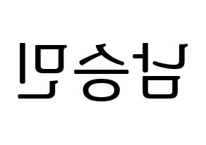 KPOP idol MCND  빅 (Nam Sung-min, Bic) Printable Hangul name fan sign, fanboard resources for LED Reversed