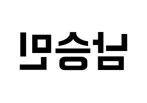 KPOP idol MCND  빅 (Nam Sung-min, Bic) Printable Hangul name fan sign, fanboard resources for concert Reversed