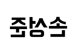 KPOP idol MCND  캐슬제이 (Son Seong-jun, Castle J) Printable Hangul name fan sign, fanboard resources for concert Reversed