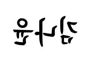 KPOP idol MOMOLAND  나윤 (Kim Na-yun, Nayun) Printable Hangul name fan sign, fanboard resources for concert Reversed