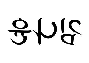 KPOP idol MOMOLAND  나윤 (Kim Na-yun, Nayun) Printable Hangul name fan sign, fanboard resources for concert Reversed