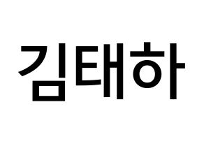 KPOP idol MOMOLAND  태하 (Kim Tae-ha, Taeha) Printable Hangul name Fansign Fanboard resources for concert Normal