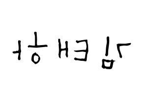 KPOP idol MOMOLAND  태하 (Kim Tae-ha, Taeha) Printable Hangul name Fansign Fanboard resources for concert Reversed