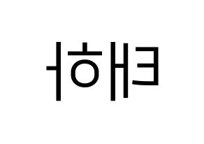 KPOP idol MOMOLAND  태하 (Kim Tae-ha, Taeha) Printable Hangul name fan sign, fanboard resources for LED Reversed
