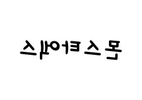 KPOP idol MONSTA X Printable Hangul Fansign concert board resources Reversed