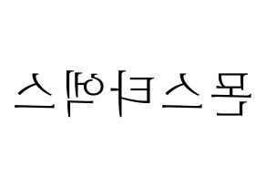 KPOP idol MONSTA X Printable Hangul fan sign & concert board resources Reversed