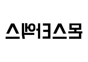 KPOP idol MONSTA X Printable Hangul Fansign concert board resources Reversed