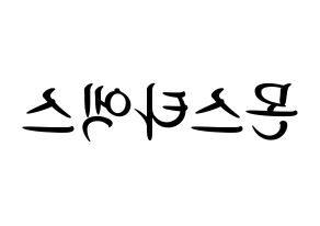 KPOP idol MONSTA X Printable Hangul fan sign, concert board resources for light sticks Reversed