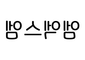 KPOP idol MXM Printable Hangul Fansign Fanboard resources Reversed