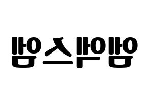 KPOP idol MXM Printable Hangul fan sign, fanboard resources for light sticks Reversed