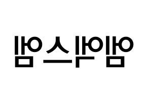 KPOP idol MXM Printable Hangul Fansign Fanboard resources Reversed