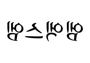 KPOP idol MXM Printable Hangul fan sign, concert board resources for light sticks Reversed
