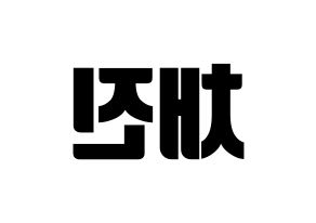 KPOP idol MYNAME  채진 (Chae Jin-seok, Chaejin) Printable Hangul name fan sign, fanboard resources for light sticks Reversed