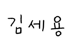 KPOP idol MYNAME  세용 (Kim Se-yong, Seyong) Printable Hangul name fan sign, fanboard resources for concert Normal
