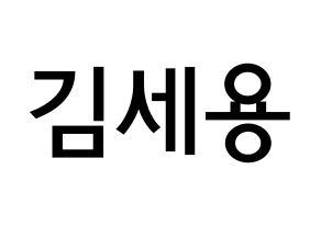 KPOP idol MYNAME  세용 (Kim Se-yong, Seyong) Printable Hangul name Fansign Fanboard resources for concert Normal