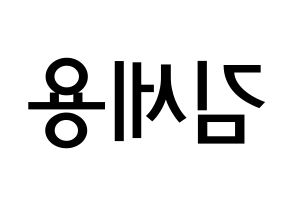KPOP idol MYNAME  세용 (Kim Se-yong, Seyong) Printable Hangul name Fansign Fanboard resources for concert Reversed