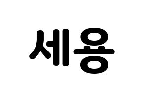KPOP idol MYNAME  세용 (Kim Se-yong, Seyong) Printable Hangul name fan sign & fan board resources Normal