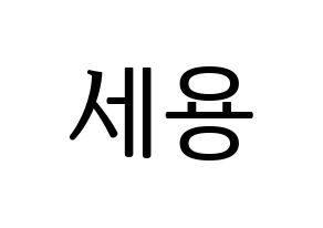 KPOP idol MYNAME  세용 (Kim Se-yong, Seyong) Printable Hangul name fan sign, fanboard resources for LED Normal