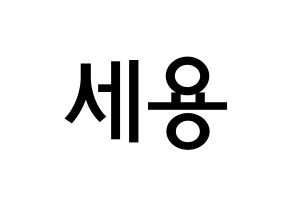 KPOP idol MYNAME  세용 (Kim Se-yong, Seyong) Printable Hangul name Fansign Fanboard resources for concert Normal