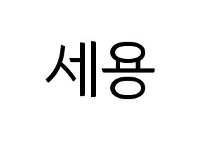 KPOP idol MYNAME  세용 (Kim Se-yong, Seyong) Printable Hangul name fan sign, fanboard resources for light sticks Normal