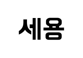 KPOP idol MYNAME  세용 (Kim Se-yong, Seyong) Printable Hangul name fan sign, fanboard resources for concert Normal