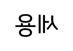 KPOP idol MYNAME  세용 (Kim Se-yong, Seyong) Printable Hangul name Fansign Fanboard resources for concert Reversed