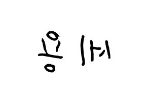 KPOP idol MYNAME  세용 (Kim Se-yong, Seyong) Printable Hangul name fan sign, fanboard resources for concert Reversed