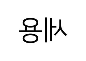 KPOP idol MYNAME  세용 (Kim Se-yong, Seyong) Printable Hangul name fan sign, fanboard resources for LED Reversed