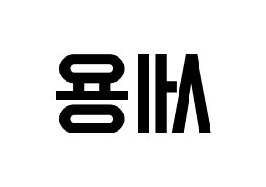 KPOP idol MYNAME  세용 (Kim Se-yong, Seyong) Printable Hangul name fan sign, fanboard resources for light sticks Reversed