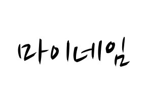 KPOP idol MYNAME Printable Hangul fan sign, concert board resources for light sticks Normal