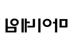 KPOP idol MYNAME Printable Hangul fan sign & concert board resources Reversed