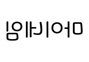 KPOP idol MYNAME Printable Hangul Fansign Fanboard resources Reversed