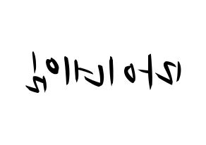 KPOP idol MYNAME Printable Hangul fan sign, concert board resources for light sticks Reversed