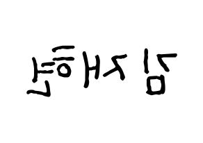 KPOP idol N.Flying  김재현 (Kim Jae-hyun, Kim Jae-hyun) Printable Hangul name fan sign, fanboard resources for concert Reversed