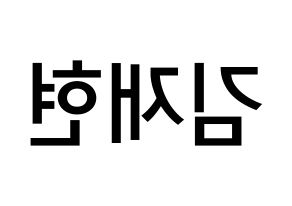 KPOP idol N.Flying  김재현 (Kim Jae-hyun, Kim Jae-hyun) Printable Hangul name Fansign Fanboard resources for concert Reversed