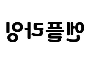 KPOP idol N.Flying Printable Hangul fan sign & concert board resources Reversed