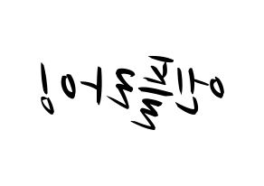 KPOP idol N.Flying Printable Hangul fan sign, concert board resources for light sticks Reversed