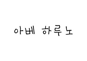 KPOP idol NATURE  하루 (Abe Haruno, Haru) Printable Hangul name fan sign, fanboard resources for light sticks Normal
