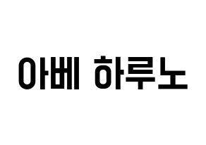 KPOP idol NATURE  하루 (Abe Haruno, Haru) Printable Hangul name fan sign, fanboard resources for light sticks Normal
