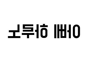 KPOP idol NATURE  하루 (Abe Haruno, Haru) Printable Hangul name fan sign, fanboard resources for light sticks Reversed