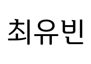 KPOP idol NATURE  채빈 (Choi Yu-bin, Chaebin) Printable Hangul name fan sign, fanboard resources for LED Normal