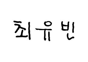 KPOP idol NATURE  채빈 (Choi Yu-bin, Chaebin) Printable Hangul name fan sign, fanboard resources for concert Normal