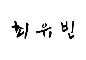 KPOP idol NATURE  채빈 (Choi Yu-bin, Chaebin) Printable Hangul name fan sign & fan board resources Normal