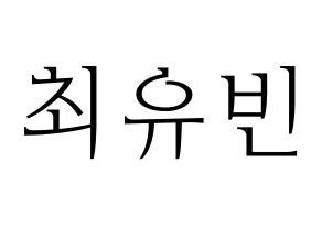 KPOP idol NATURE  채빈 (Choi Yu-bin, Chaebin) Printable Hangul name fan sign & fan board resources Normal