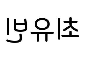 KPOP idol NATURE  채빈 (Choi Yu-bin, Chaebin) Printable Hangul name Fansign Fanboard resources for concert Reversed